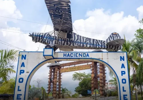 Tour hacienda nápoles